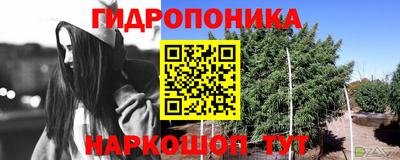 гашишное масло Пушкино