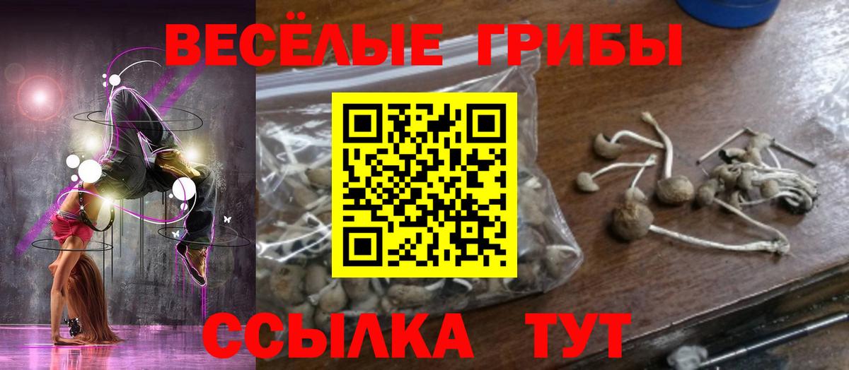 Галлюциногенные грибы ЛСД  Вход с VPN  Сегежа 